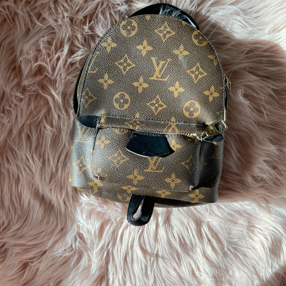 Louis Vuitton Monogram Palm Springs Mini Backpack